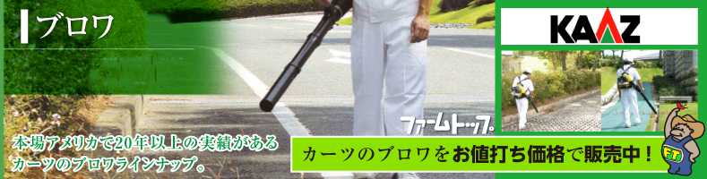 ブロワのカーツ
