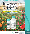 サイモディスキャンペーンバナー